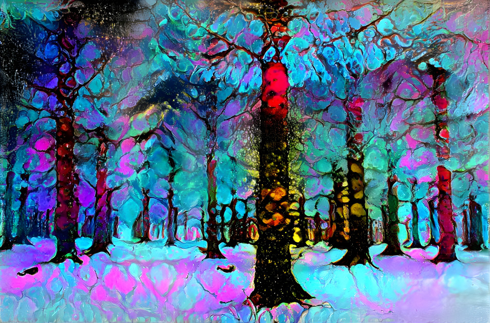 Enchanted Forrest 