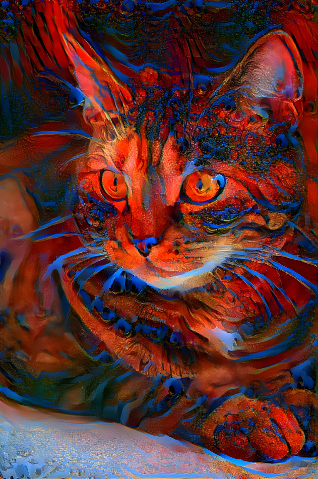 Whiskers in reds and blues