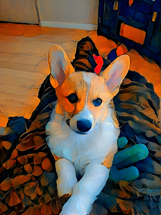 Beautiful corgi love