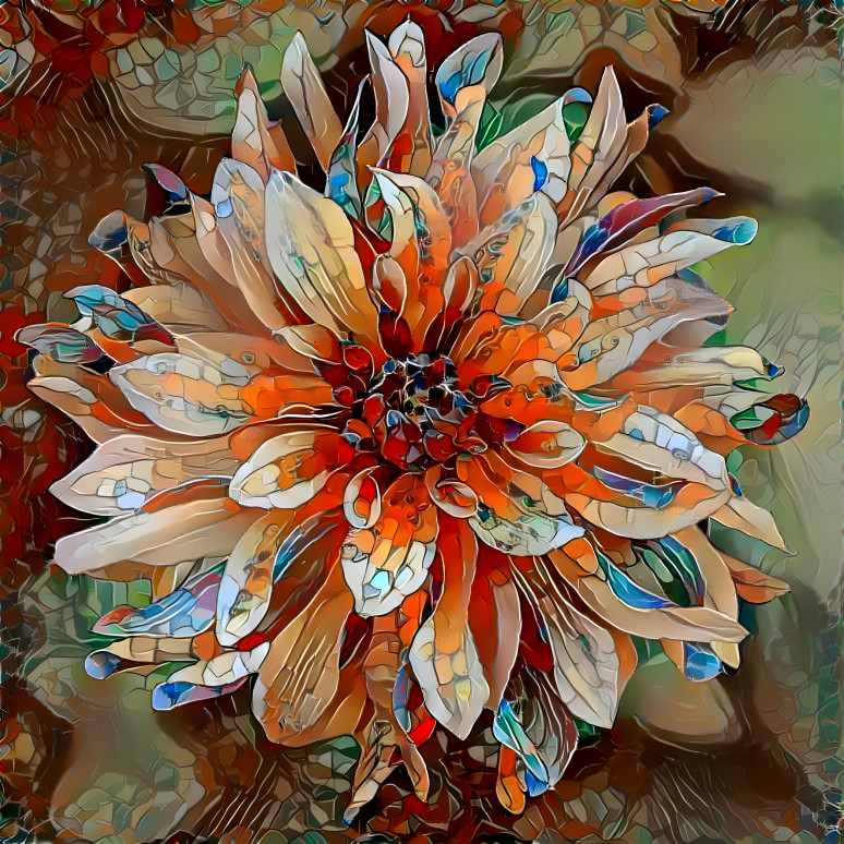 Kaleidoscope dahlia