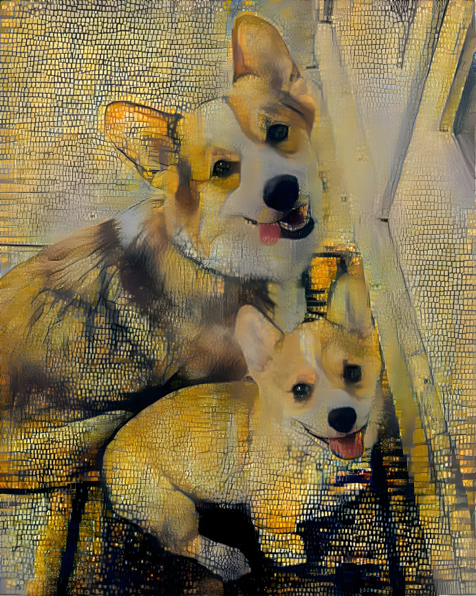 Golden corgis