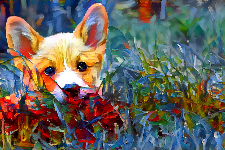 Corgi in the grass