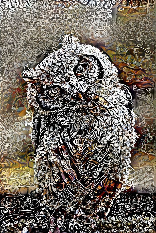 Wise old owl