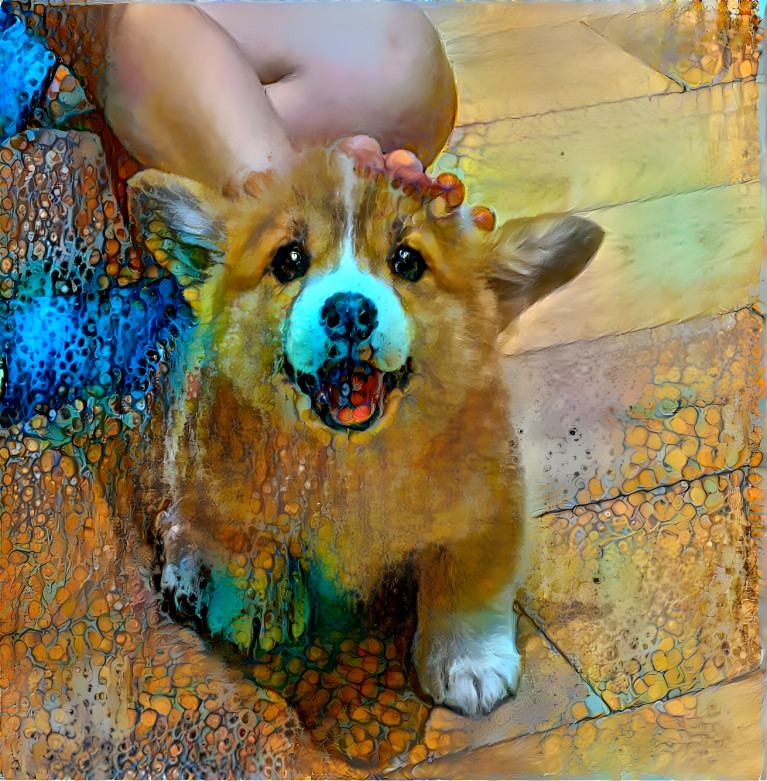 Corgi con 2022 is happening