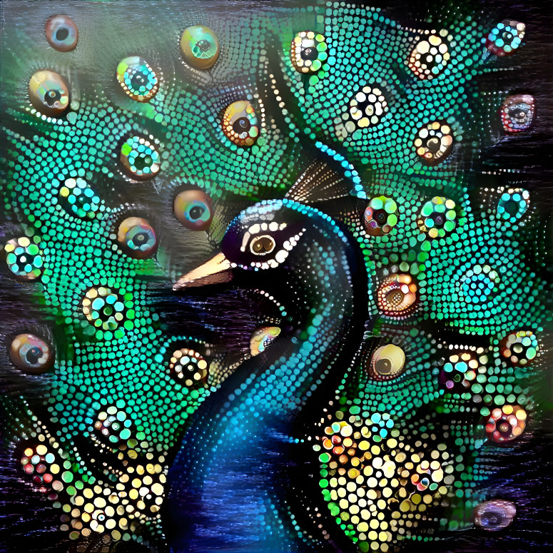 Peacock 