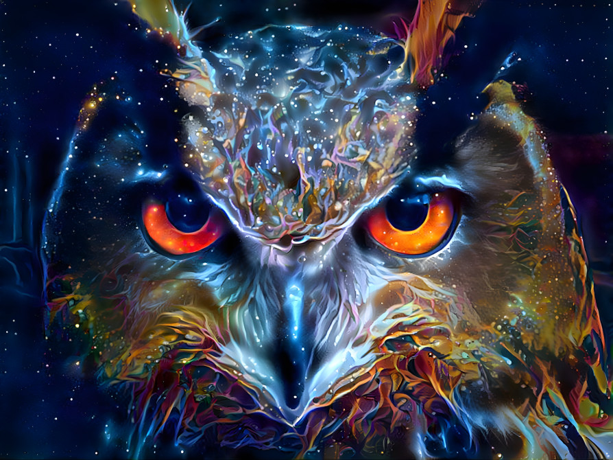 Owl 