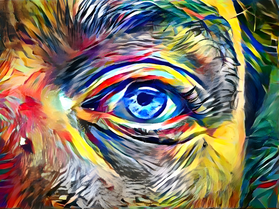 Eye