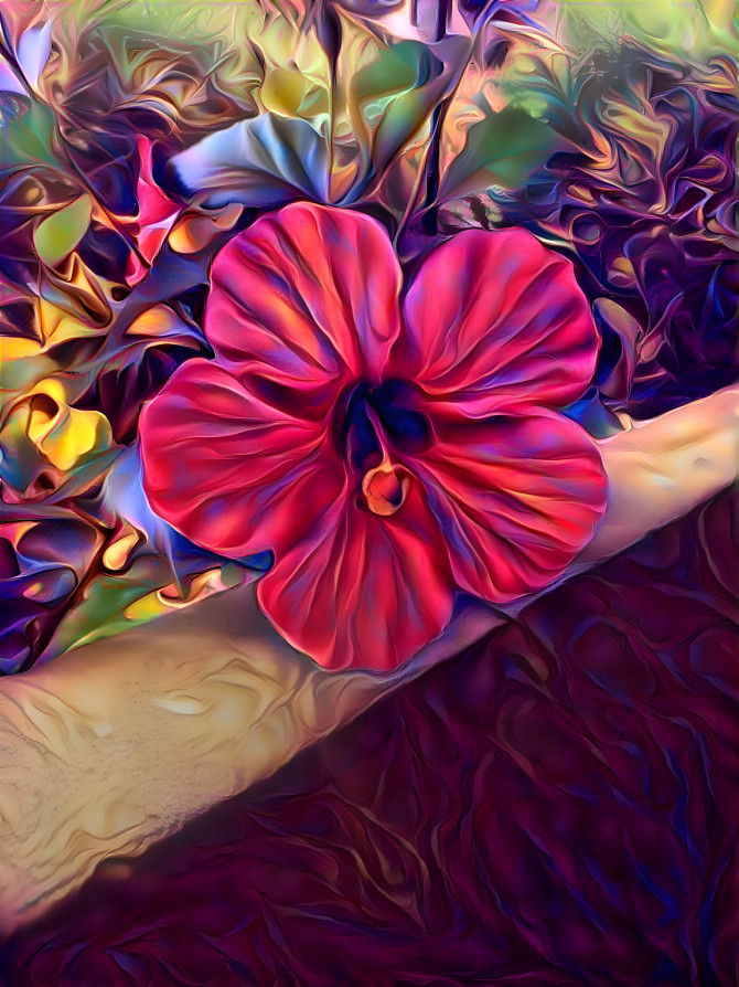 Hibiscus 