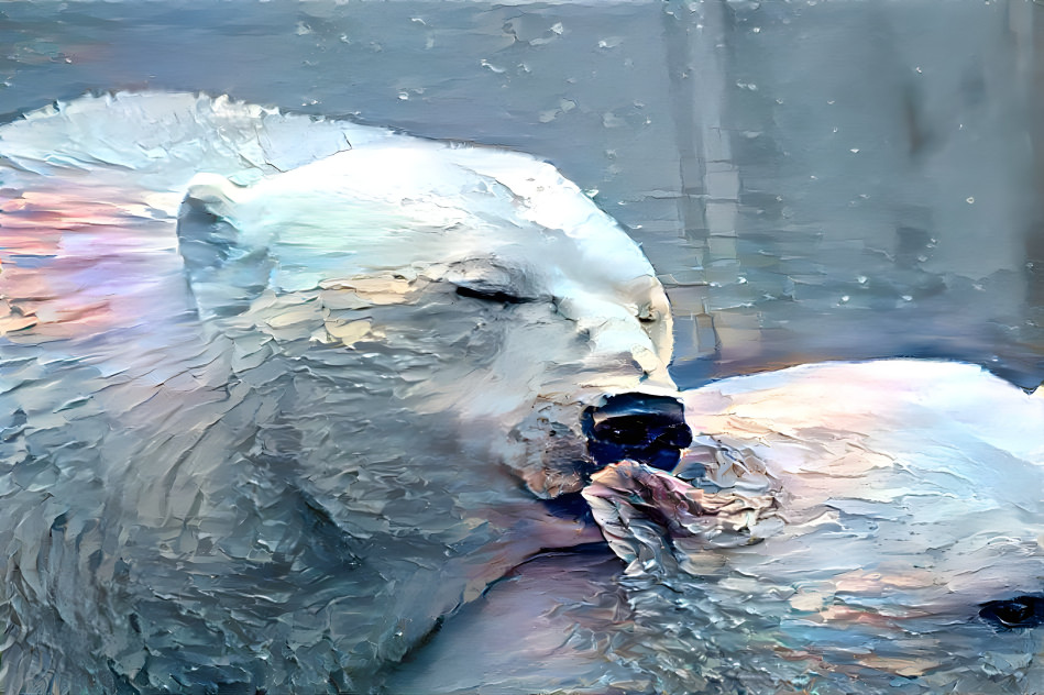 Polar Dreams