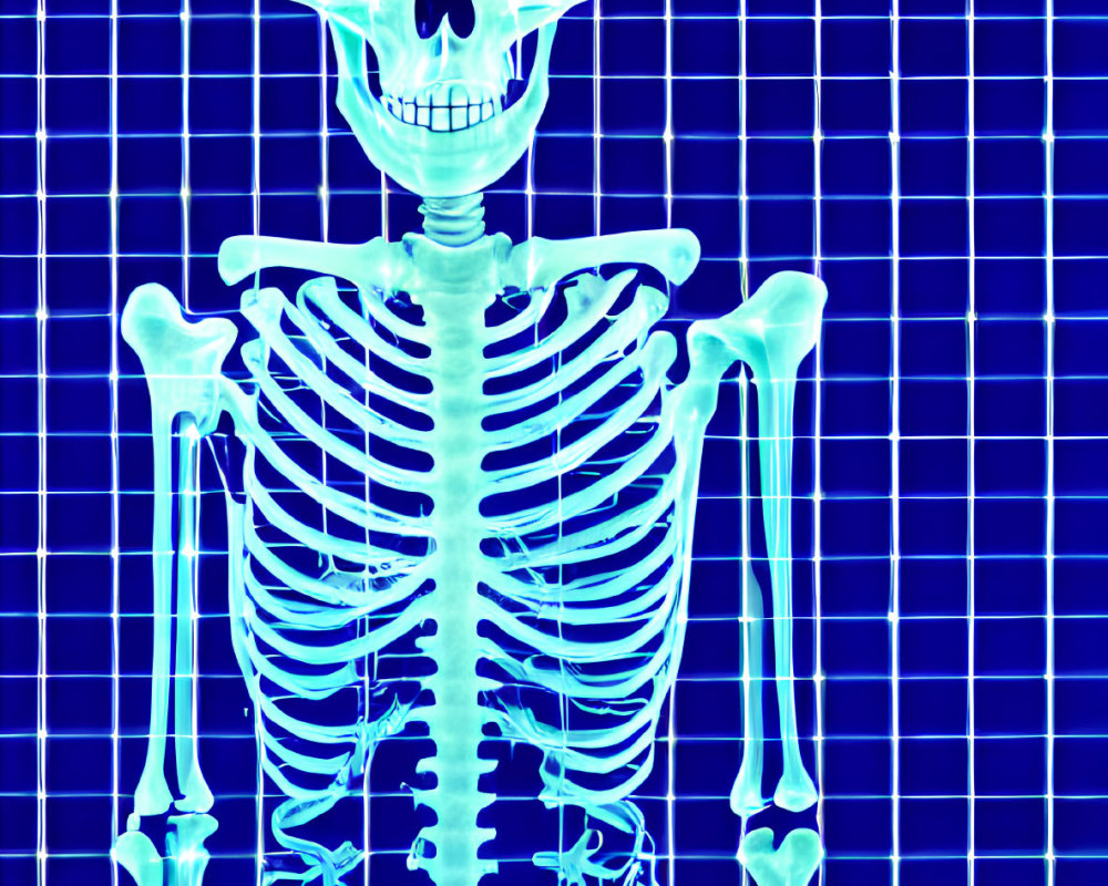 Digital illustration: Human skeleton in glowing blue hue on grid background