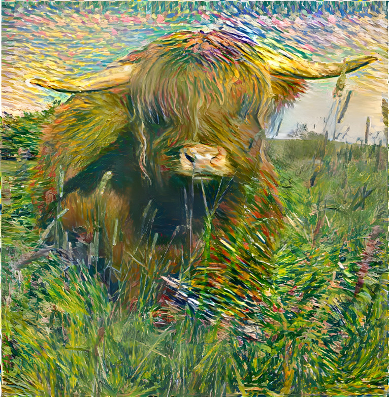 Cow