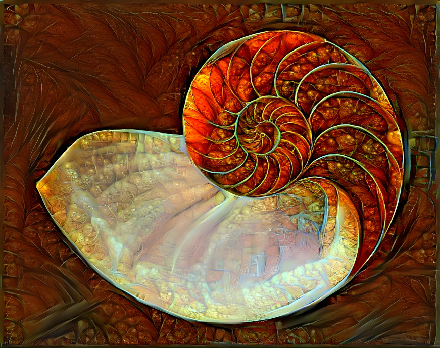 Nautilus