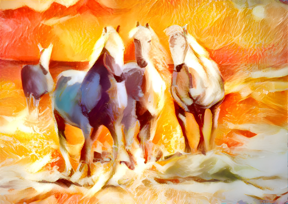 Orange Horses