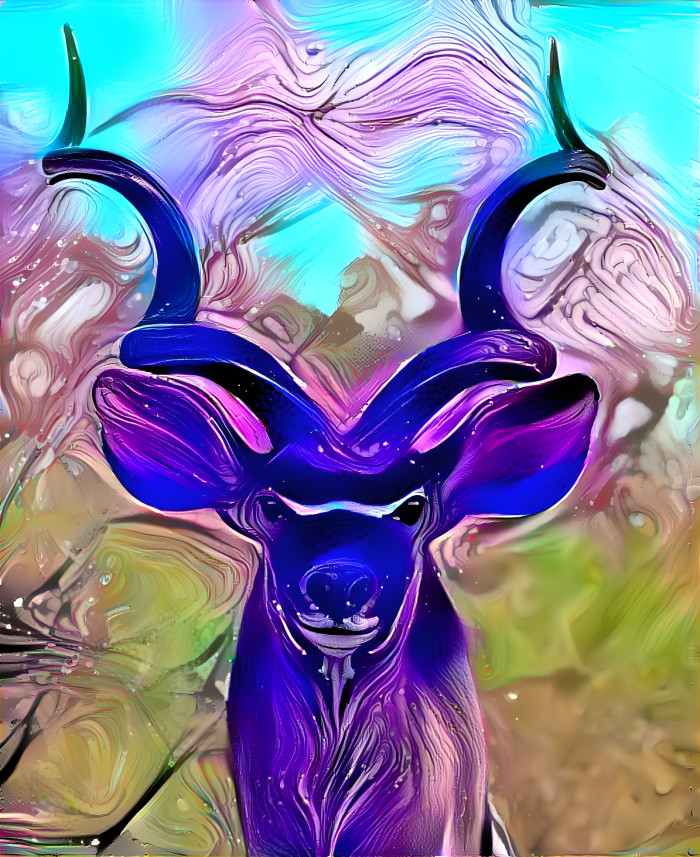 Funky Kudu