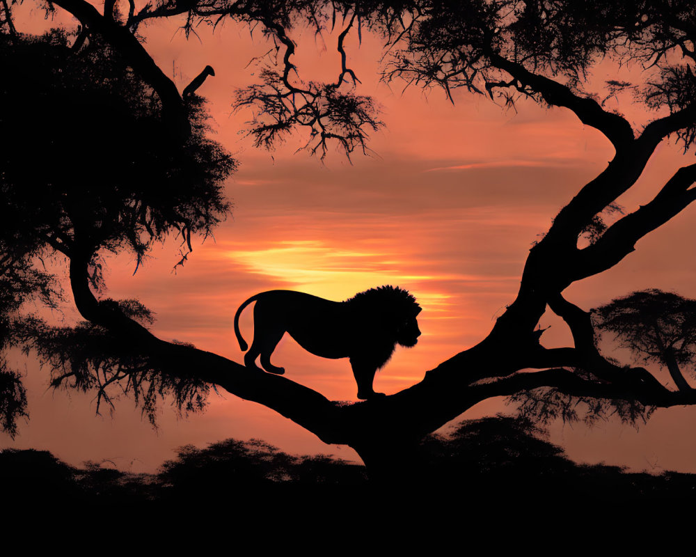 Silhouetted lion against vibrant sunset on tree branches