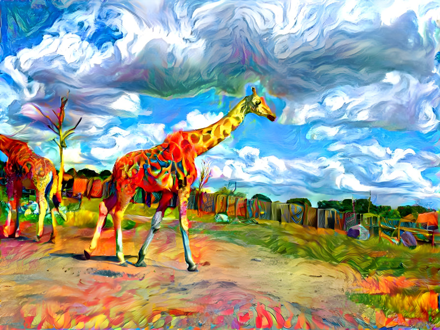 Giraffes