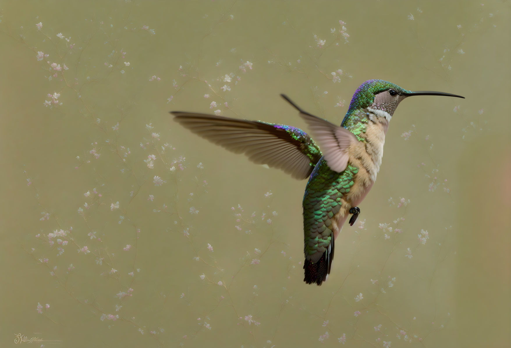 Iridescent green hummingbird mid-flight with spread wings