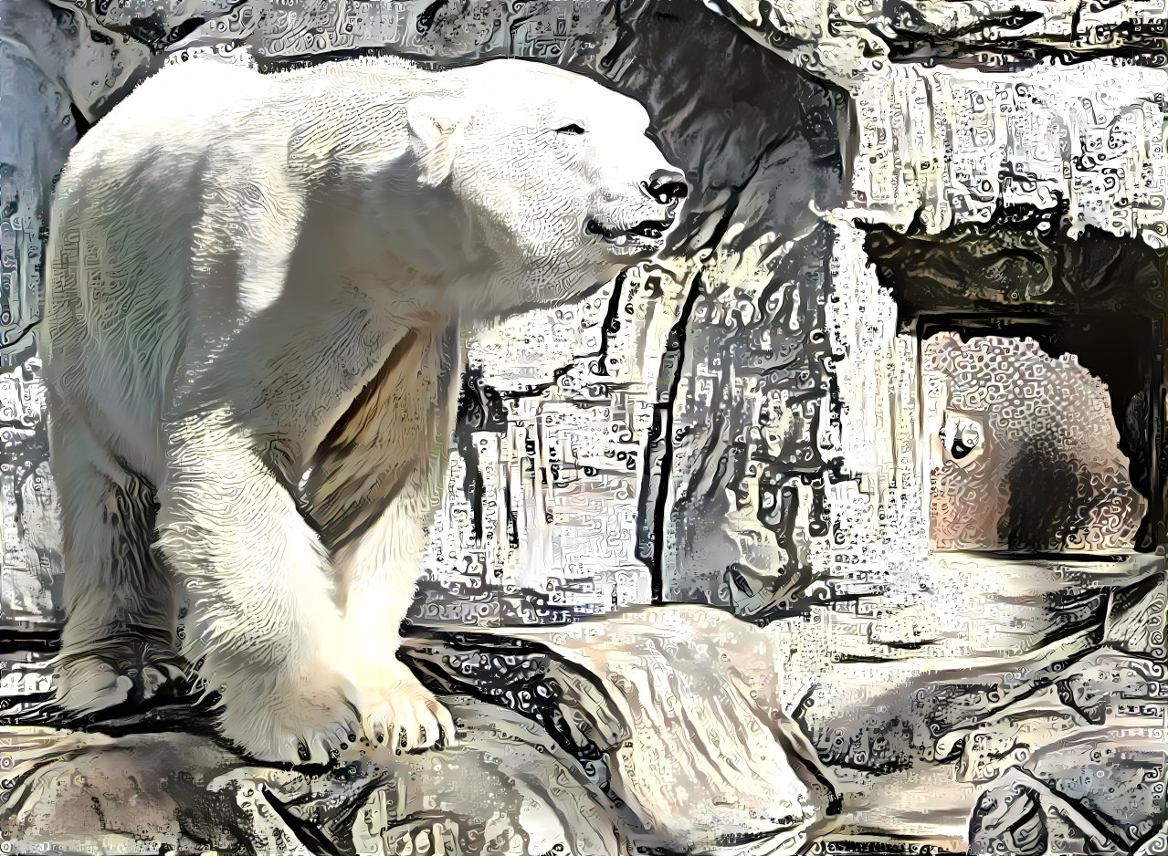 Polar Bear