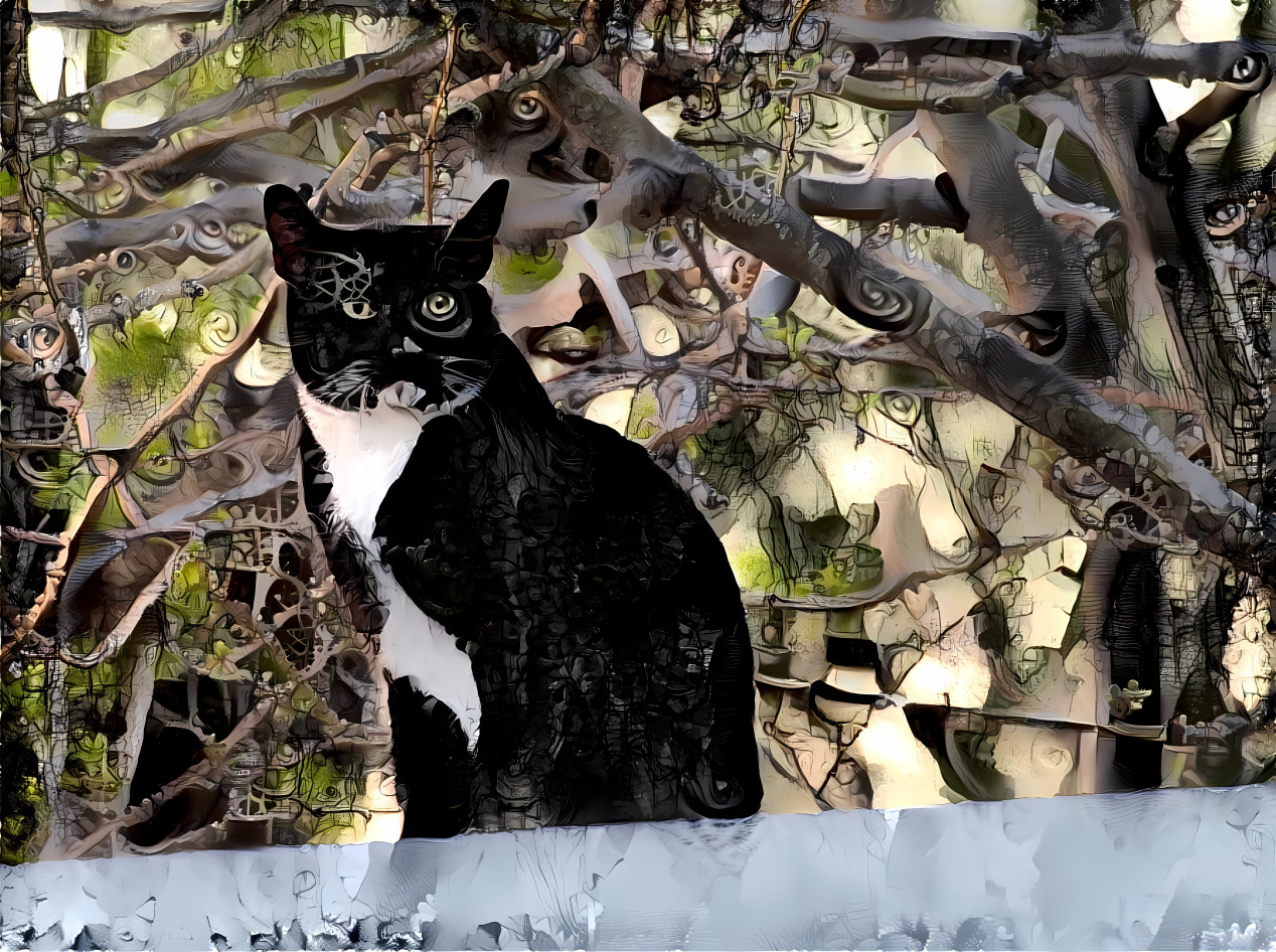 Cat on a hot tin roof