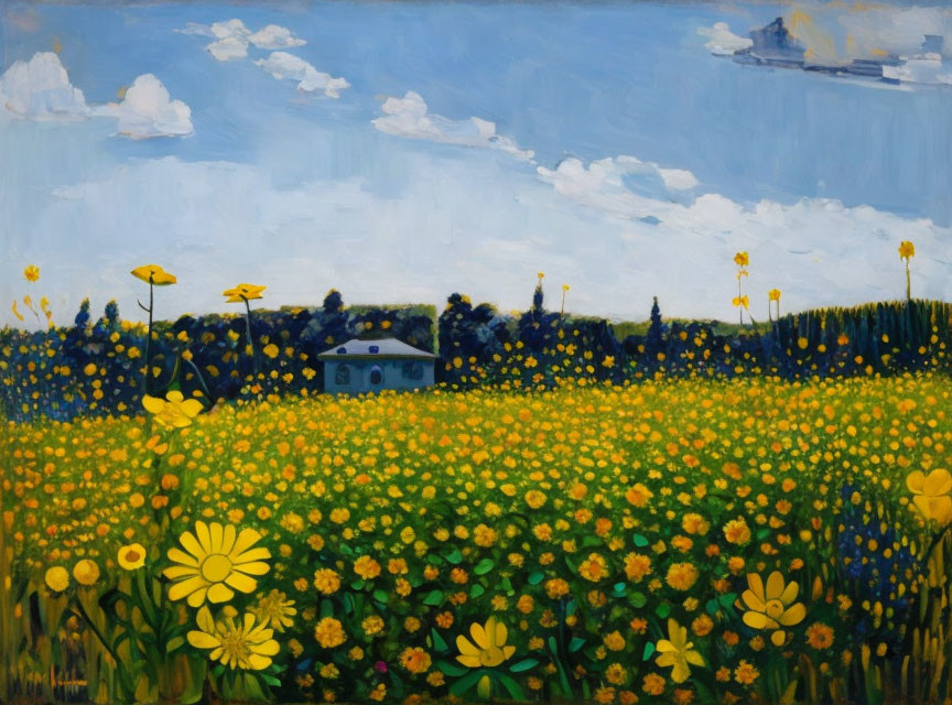 Colorful field with yellow flowers and small house under blue sky