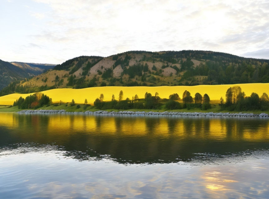 Tranquil river, blooming meadow, trees under sunset sky