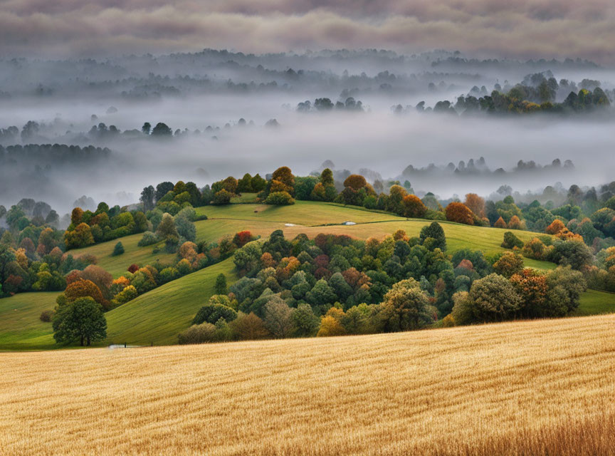 Misty landscape with rolling hills, golden wheat fields, and autumn trees.