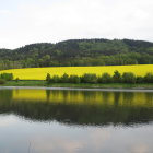 Tranquil river, blooming meadow, trees under sunset sky