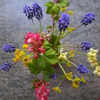 Assorted colorful flowers against misty gray backdrop