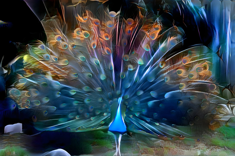 The Peacock