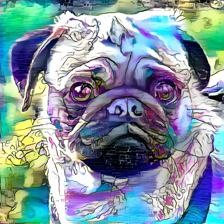 my pug