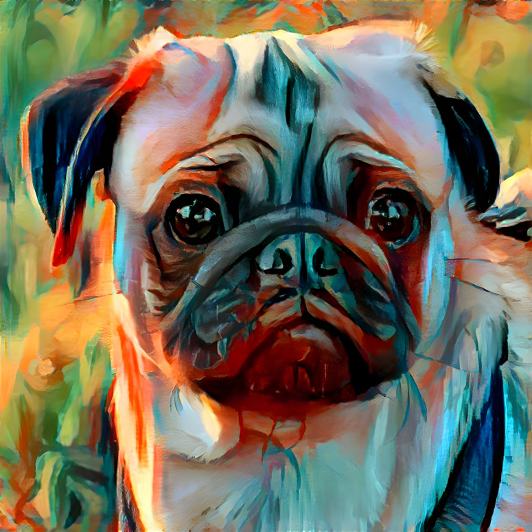 Pug_2