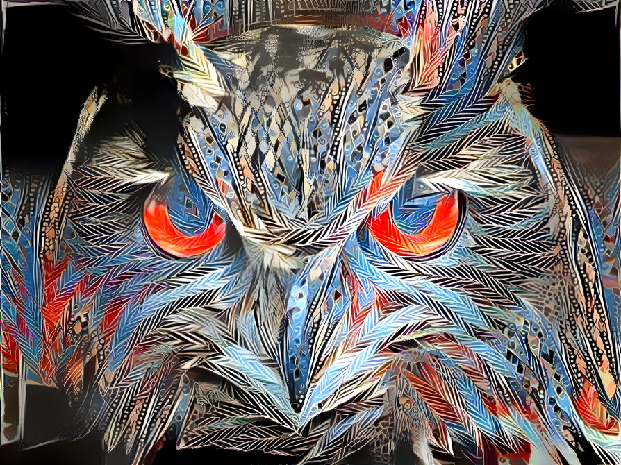 owl on dream