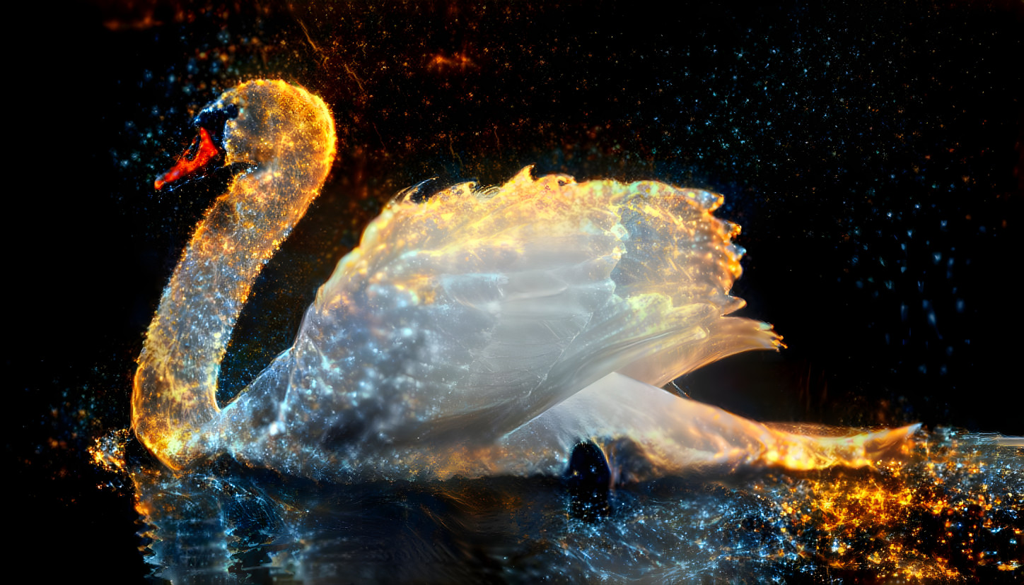 swan