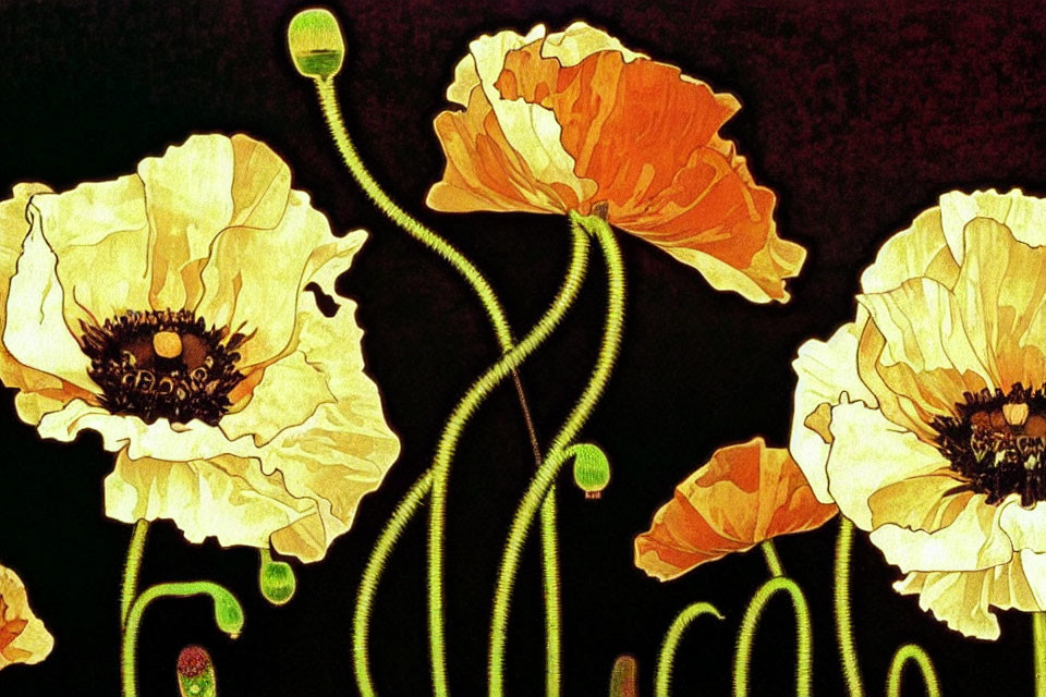 Stylized poppy flowers with elongated stems in vibrant colors