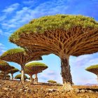 Fantastical landscape with oversized tree-like mushrooms and spherical elements under a blue sky