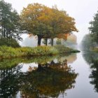 Impressionistic autumn trees with colorful foliage reflected in tranquil water