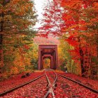 Colorful autumn scene with person in red cloak by open wooden door