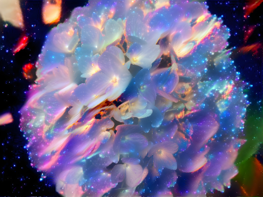 cosmic hydrangea