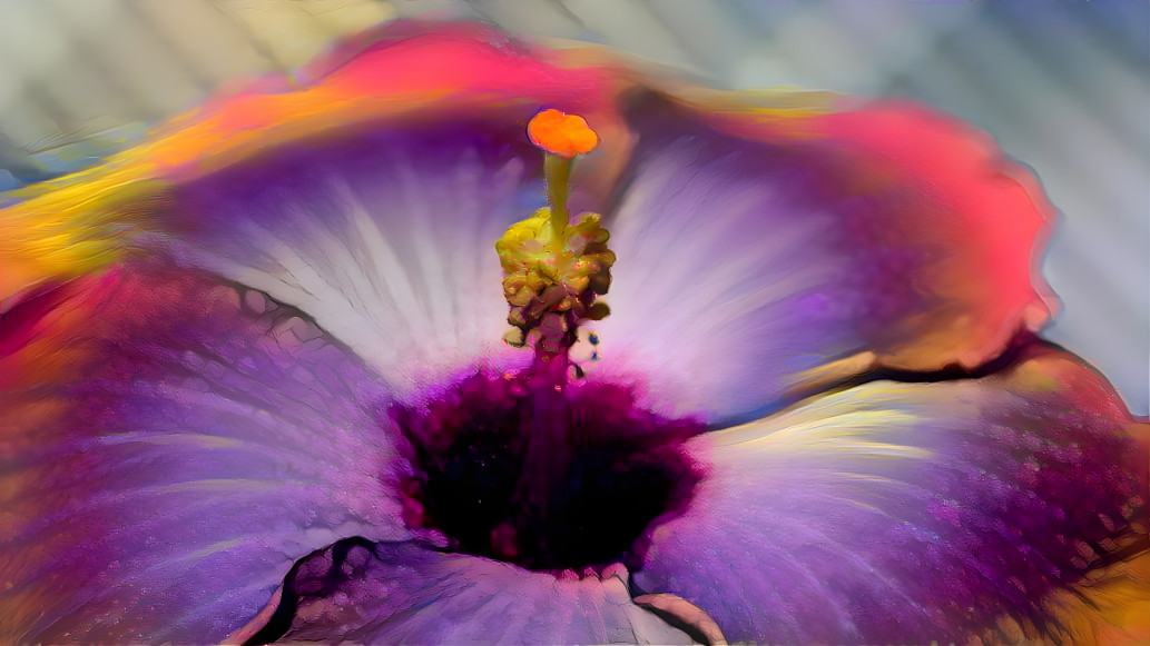 vibrant hibiscus