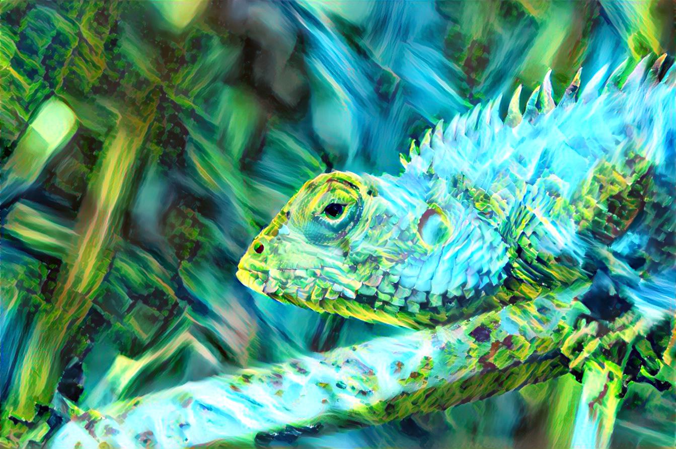 Iguana