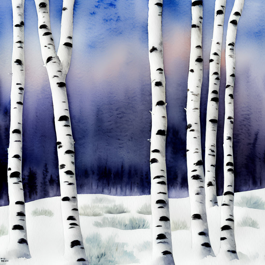 White Birch Trees Watercolor Painting with Snowy Foreground and Forest Backdrop