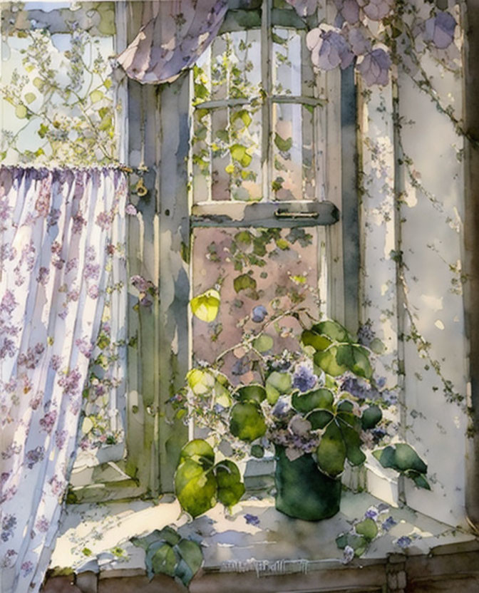 Sunlight through floral curtains on green plants and vase