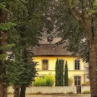 Yellow House with Green Shutters Among Lush Trees in Watercolor