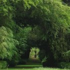 Tranquil garden with trees, lawn, bridge, and gazebo