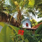 Detailed Watercolor Illustration of White House in Tropical Garden