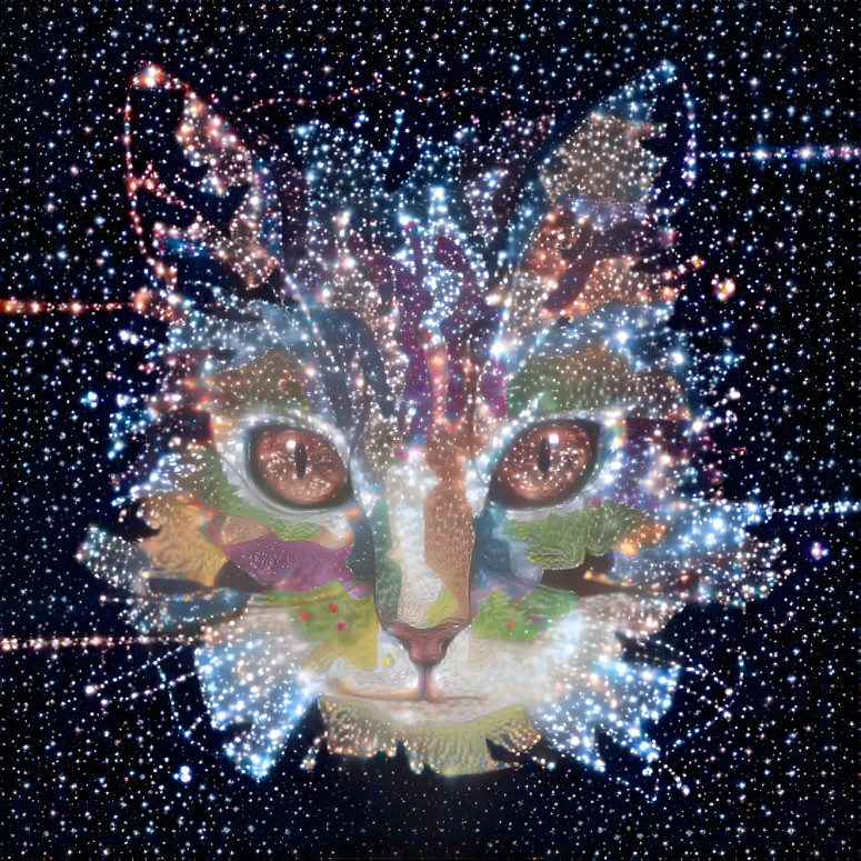 star cat