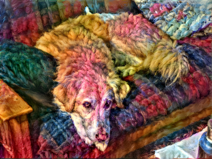 Yarn Dog