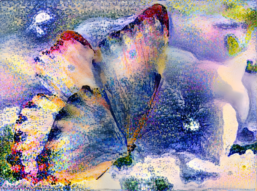 Day Dreams´ Butterfly