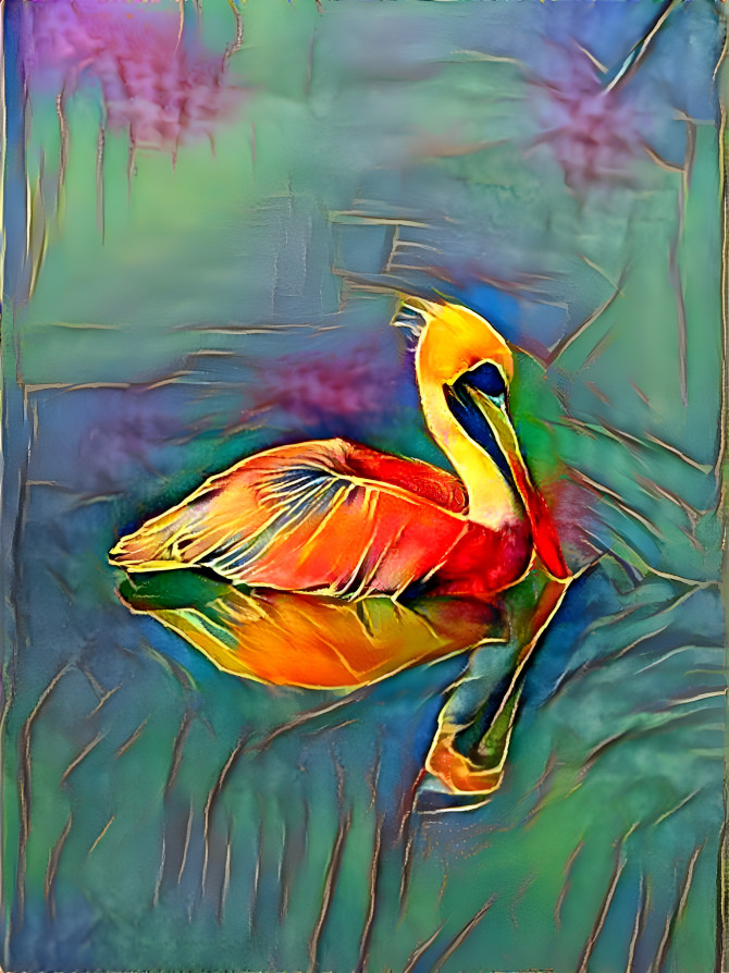 Pelican