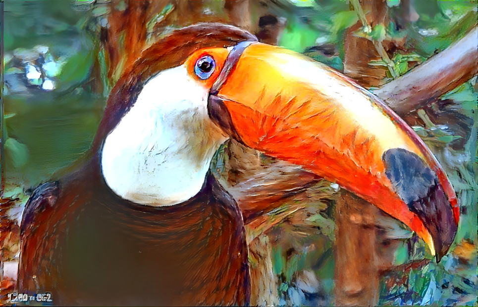 Toucan